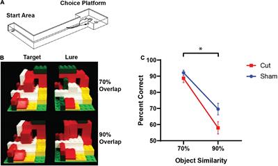 Unilateral Perforant Path Transection Does Not Alter Lateral Entorhinal Cortical or Hippocampal CA3 Arc Expression